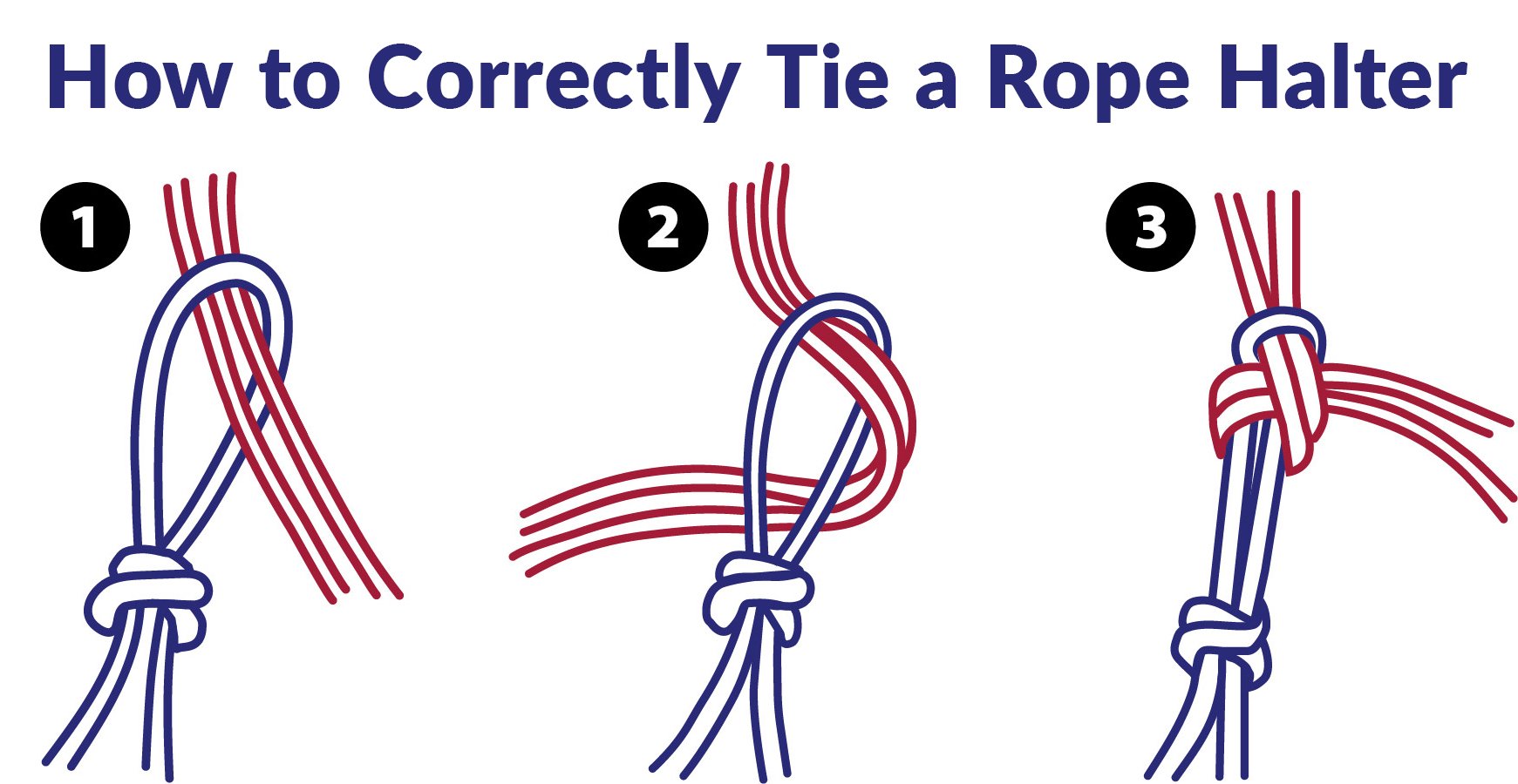 how to tie rope halters for horses