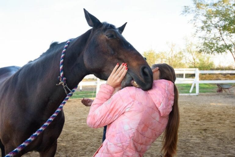 why do horses nibble on clothes