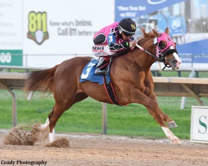 what is a futurity horse