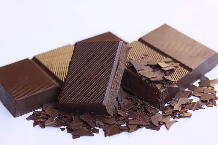 Can an Elephant Eat Chocolate