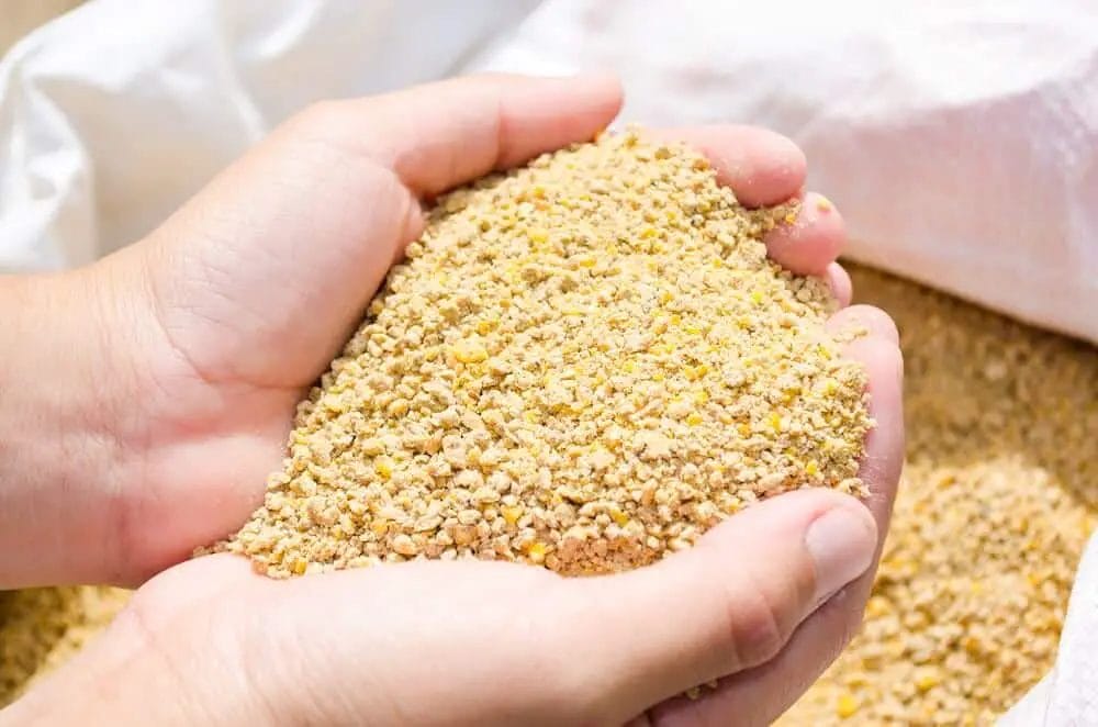 cracked corn pellets feed