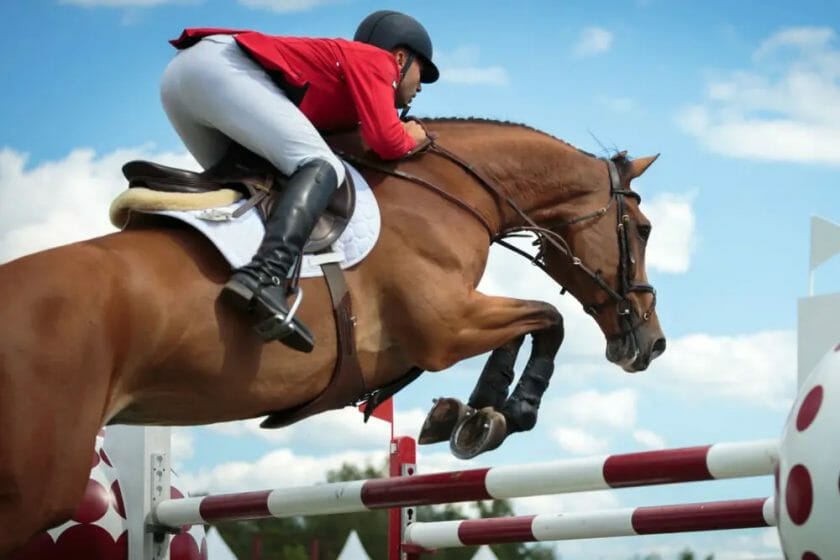 can you ride a horse with cushings