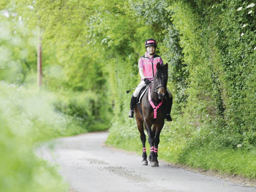 can i ride a horse on the road